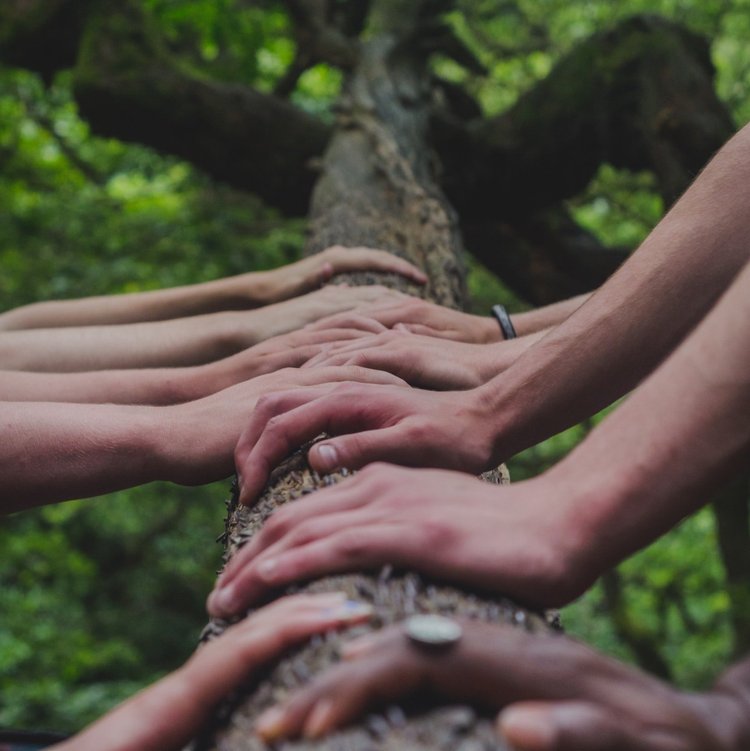unsplash-image-DNkoNXQti3c learn how to support those with a declining mental health in BC