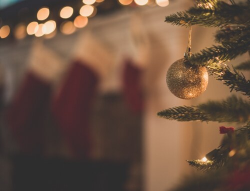 Holiday Survival Guide